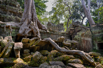 Fototapeta na wymiar Ta Prohm temple at Angkor Wat complex, Siem Reap, Cambodia