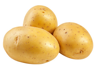 potato, isolated on white background, clipping path, full depth of field