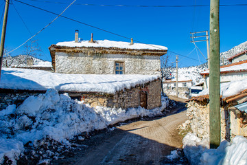 Snowy mountain village with cows, Turkey