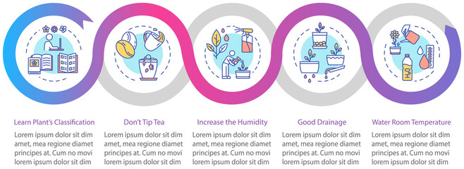 Indoor plants concern vector infographic template. Houseplants care presentation design elements. Data visualization with five steps. Process timeline chart. Workflow layout with linear icons