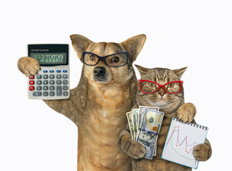 Fototapeta The cat holds a notebook with a financial chart and a fan of dollars. The dog holds an accounting calculator. They stand hugging. White background. Isolated. obraz