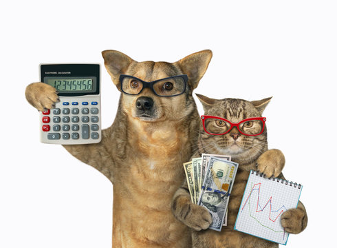 The cat holds a notebook with a financial chart and a fan of dollars. The dog holds an accounting calculator. They stand hugging. White background. Isolated.