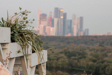 Krylatsky hills offer panoramic views of Moscow city. After all, Moscow is one of the greenest...