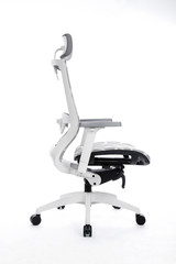 Office Business Chair on White
