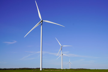 Wind turbines and agricultural fields on summer day blue sky