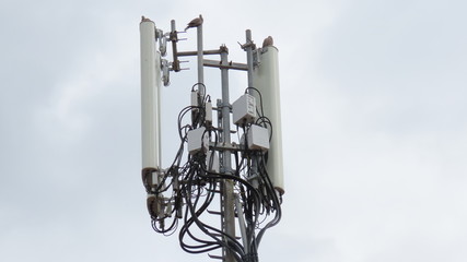 Croaia nature Flowers, mountains and trees