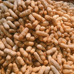 peanut in a shell texture