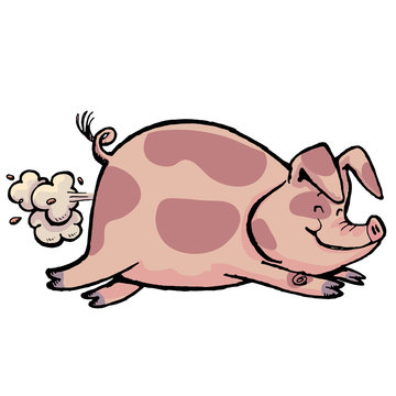 Pig in running with fart power
