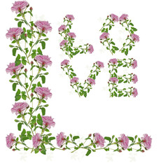 The word Love made of pink roses. Symbol of love, hippism. Isolated on white.