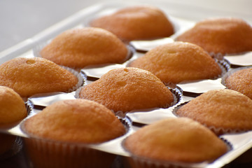 Muffin on a plastic box. Selective focus. 