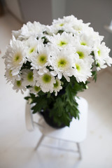 close up of white chrysanthemum in a vase