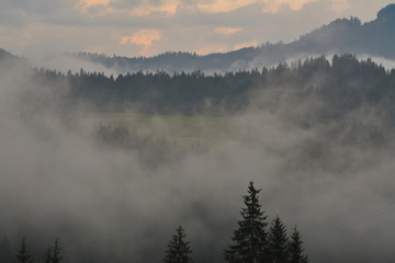 nebelschwaden im kleinwalsertal