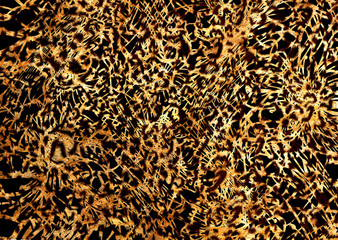 leopard skin and fur background