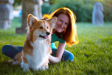 corgi fluffy portrait