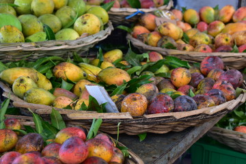 Beautiful and colored mangoes in baskets for sale in a morning fresh market.
