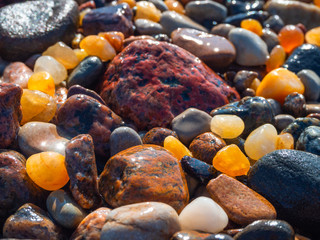 Small amber stone and pebbles on the sandy beach. Shallow wet amber washed by waves. Natural mineral at the Baltic sea coast.  Short focus.