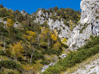 Sunny colorful autumn alpine scene. Peaceful rocky mountain view from hiking path near Almsee lake, Upper Austria.