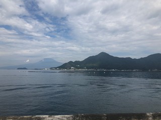 海