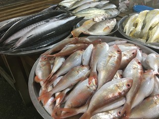 Sea fish in the market