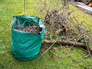 Baumverschnitt im Garten Grünabfälle