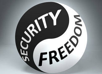 Security and freedom in balance - pictured as words Security, freedom and yin yang symbol, to show harmony between Security and freedom, 3d illustration
