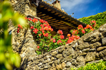 Scenic traditional provencal stone medieval wall with red flowers and blue sky above in Menerbes, one of most beautiful villages of France located in Luberon, heart of Provence. Travel destination