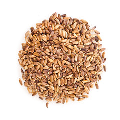 Seed of a Milk Thistle (Silybum marianum) known as Scotch Thistle or Marian Thistle isolated on a white background.