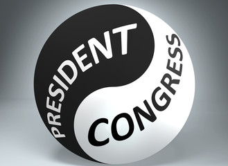 President and congress in balance - pictured as words President, congress and yin yang symbol, to show harmony between President and congress, 3d illustration