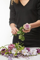 cropped view of florist holding rose isolated on white