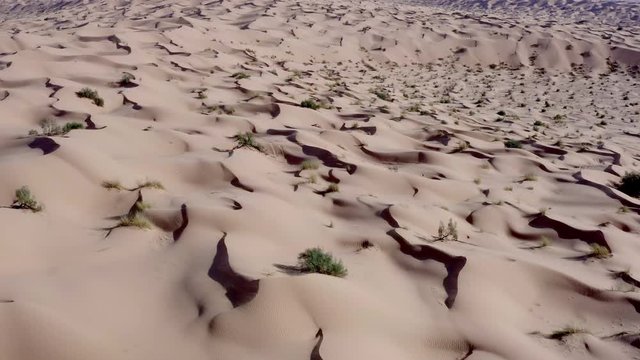 Deserto del Sahara