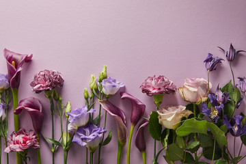 top view of beautiful flowers on violet background with copy space