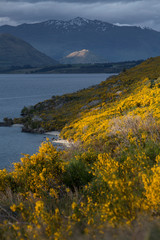 Lake Wakatipu New Zealand. Mountains Sunset. The Remarkables