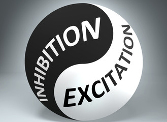 Inhibition and excitation in balance - pictured as words Inhibition, excitation and yin yang symbol, to show harmony between Inhibition and excitation, 3d illustration