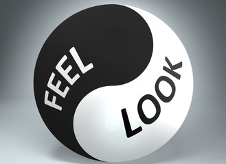 Feel and look in balance - pictured as words Feel, look and yin yang symbol, to show harmony between Feel and look, 3d illustration
