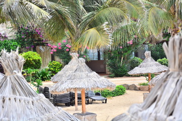 Sun umbrellas, beach umbrellas on sandy beach with palm leaves and colorful tropical plants on Sal,...