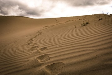 The foot step on desert
