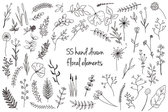 55 hand drawn floral elements