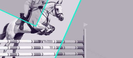 Horse and rider, black and white banner or header, billboard, duo tone. Beautiful white horse...
