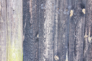Fototapeta premium A wood background. Texture of a wood. A Vintage and Natural material for the background.