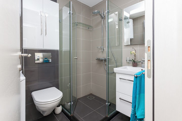 Interior of small modern bathroom with shower