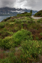 Glenorchy Lake Wakatipu Queenstown New Zealand