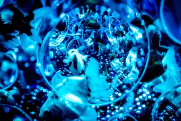 金魚