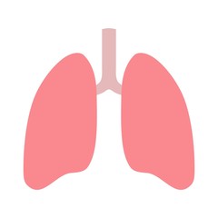 Lungs flat icon over white background. Human respiratory system with healthy internal organ