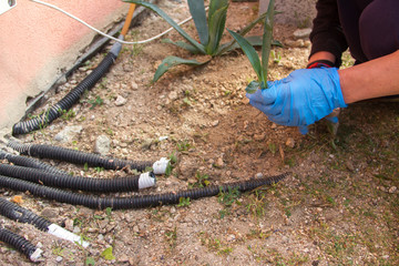  woman gardening in the garden by planting aloe vera plants next to plastic pipes as a meaning that nature wins over plastic