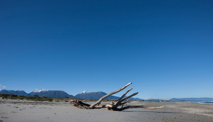 Haast beach and coast. Road to Jackson bay. Westcoast New Zealand. Driftwood