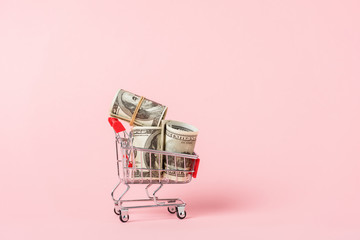 toy shopping trolley with dollar banknotes on pink, leasing concept