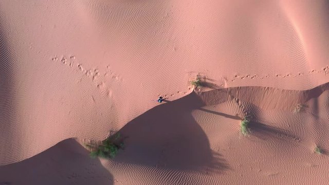Felicit&agrave; nel deserto Sahara