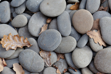 Fototapeta na wymiar gray rounded stones with fallen leaves