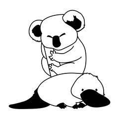 koala and platypus on white background