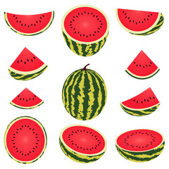 Vector watermelon  set isolated on white background. Fresh and juicy whole watermelons and slices.